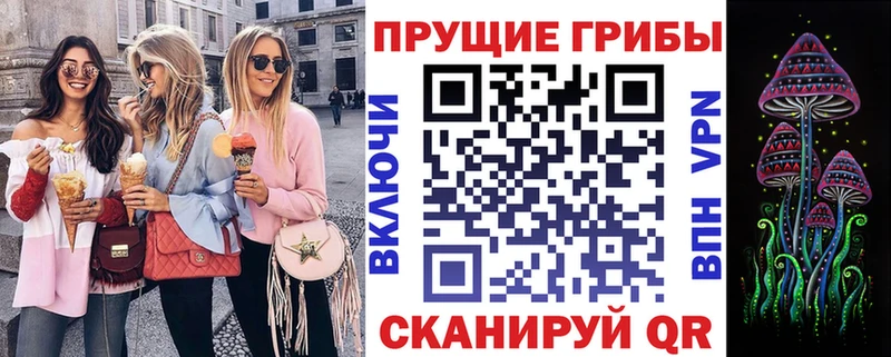 Псилоцибиновые грибы прущие грибы  что такое   Тихорецк 